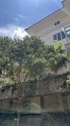 Henry Park (D10), Detached #460921051